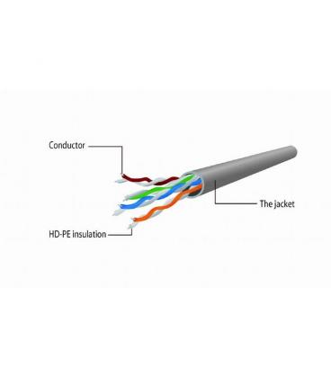 Gembird Latiguillo Cat.5e UTP 0.25 Mts Rojo - Imagen 2