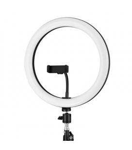 iggual Kit Anillo luz LED 10" + Trípode 200 cm - Imagen 1