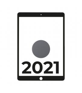 Apple iPad 10.2 2021 9th WiFi Cell/ A13 Bionic/ 64GB/ Gris Espacial - MK473TY/A