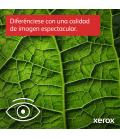 Xerox B235 A4 34 ppm Inalámbrica Copia/impresión/escaneado/fax PS3 PCL5e/6 ADF 2 bandejas Total 251 hojas - Imagen 7