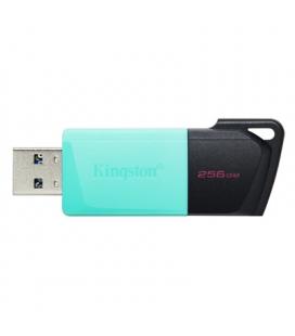 Kingston DataTraveler DTXM 256GB USB 3.2 Gen1 Turq - Imagen 1