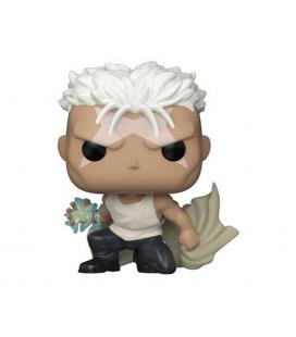 Funko pop fullmetal alchemist brotherhood scar 57740
