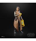 Star Wars The Black Series F55285X0 toy figure