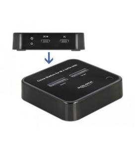 Delock M.2 Estación de acoplamiento para 2 x M.2 S