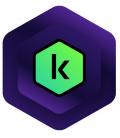 Kaspersky Lab Premium + Customer Support 1 Dispositivo Licencia 1 año ESP