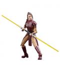 Star Wars The Black Series Bastila Shan