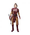 Star Wars The Black Series Bastila Shan