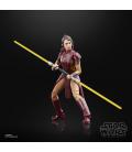 Star Wars The Black Series Bastila Shan