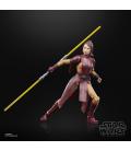 Star Wars The Black Series Bastila Shan