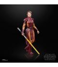 Star Wars The Black Series Bastila Shan