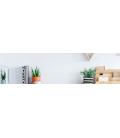 AOC 24B2XH/EU - Monitor 24" Full HD IPS 75Hz - 7ms - hdmi - vga - modo low blue light