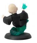 Figura quantum mechanix harry potter lord voldemort