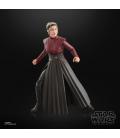 Star Wars The Black Series Morgan Elsbeth