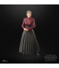 Star Wars The Black Series Morgan Elsbeth