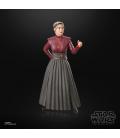 Star Wars The Black Series Morgan Elsbeth