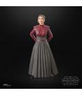 Star Wars The Black Series Morgan Elsbeth