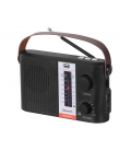 RADIO SOLAR PORTÁTIL BLUETOOTH USB MICRO SD TWS TREVI RA 7F25 BT