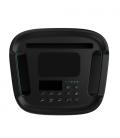 Hisense HP110 sistema de megafonía Sistema de megafonía independiente 300 W Negro