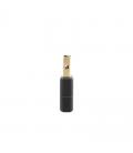 Fanvil wf20 dongle wifi para la serie xu/v/x