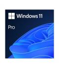Microsoft windows 11 pro 64b esd