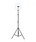 iggual Kit Aro luz LED 10" + Trípode 200 cm