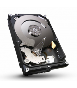 DD SEAGATE 250GB SATA 600 16MB 7.2k