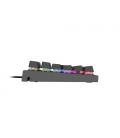 GENESIS Thor 300 RGB teclado Juego USB QWERTY Español Negro