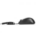 Targus Compact Blue Trace Mouse