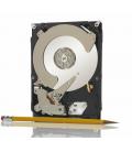 Seagate Desktop HDD ST250DM000 disco duro interno 250 GB 7200 RPM 16 MB 3.5" SATA