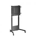AISENS Soporte PRO de suelo contrapeso con ruedas para TV 60-90Kg de 60-100, Negro