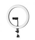iggual Anillo / aro de luz LED diámetro 10" 26 cm