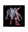 Hg 1 - 144 infinite justice gundam type ii re - run