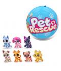 5 surprise pet rescue