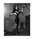 Vampira silver screen edition scale action fig. 15 cm vampira toony terrors