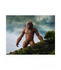 Figura tamashii nations godzilla x kong the new empire suko & mothra sh monster arts coll