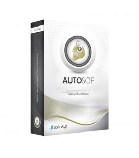 Programa de gestion integral de talleres de coches monopuesto solinsur