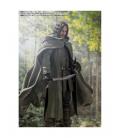 Aragorn figura 15 -5 cm the lord of the rings: the fellowship of the ring sh figuarts