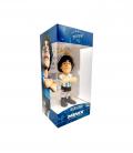 Minix maradonaargentina 12 8