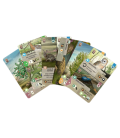 Juego de mesa forest shuffle dartmoor