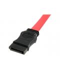 Adaptador sata startech 0.5m - macho - hembra - rojo
