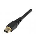 Cable mini dp a dp startech 1m - macho - macho - negro