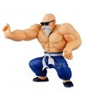 Dragon ball solid edge works kamesennin