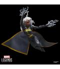 Figura hasbro marvel comics the uncanny x - men storm