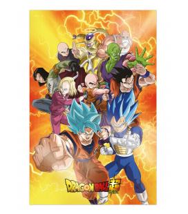 Poster 3d 58x38cm universal survival heroes dragon ball super