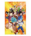 Poster 3d 58x38cm universal survival heroes dragon ball super
