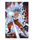 Poster 3d 58x38cm universal survival goku dragon ball super