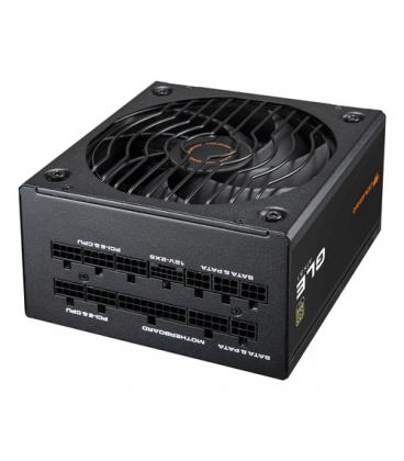 COUGAR CGR GLE-1000 unidad de fuente de alimentación 1000 W 20+4 pin ATX ATX Negro