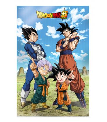 Poster 3d 58x38cm battle of gods goku vegeta family dragon ball super
