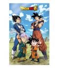 Poster 3d 58x38cm battle of gods goku vegeta family dragon ball super