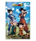 Poster 3d 58x38cm battle of gods goku vegeta family dragon ball super